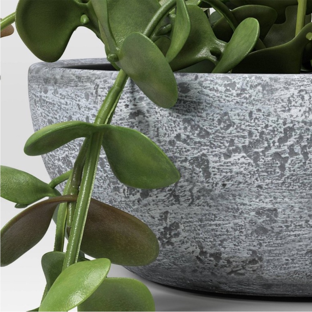 STUDIO MCGEE NWT trailing sedum faux plant -10” - Picture 3 of 6